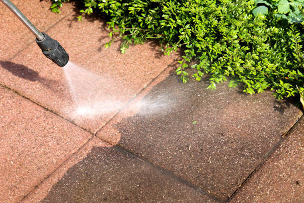 Roof Power Washing Services in East Lansing, MI